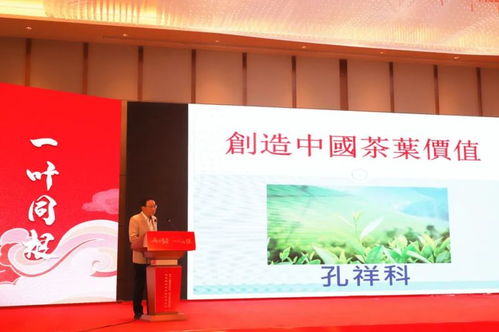 兩岸茶香，技藝同輝——福安兩岸茶文化傳承發展與產業交流盛會